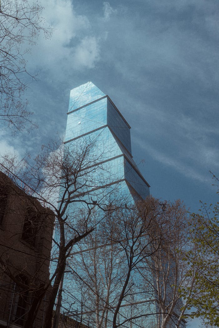 A glass skyscraper towers amidst leafless trees in Tbilisi, Georgia, under a clear blue sky.